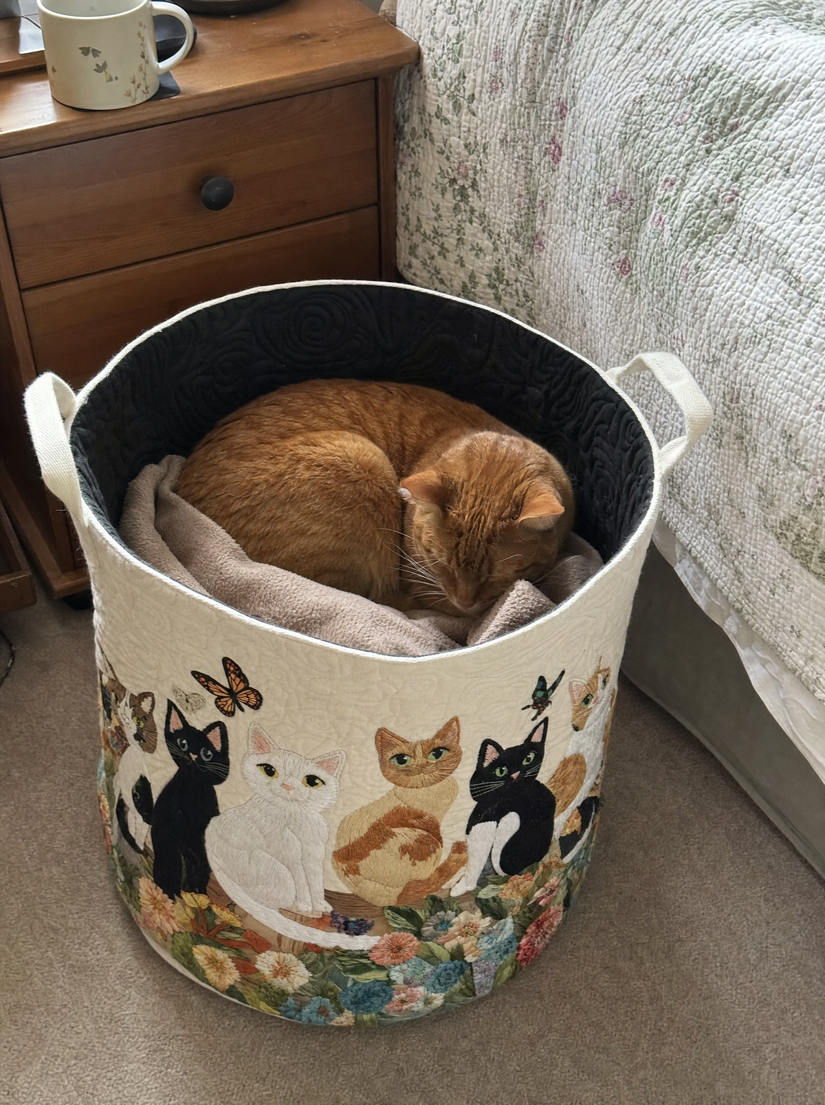 A cat curled up beside a quilted basket